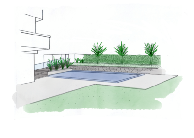 nova concept plan piscine paysagiste herbe arbres